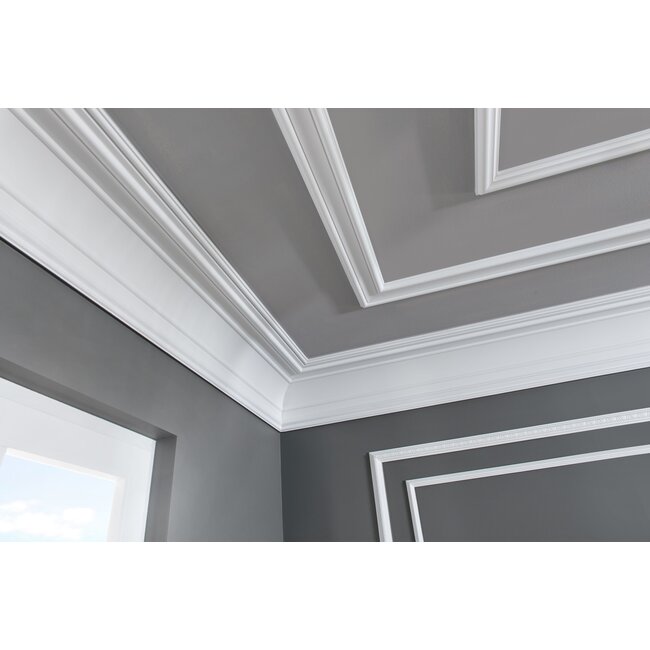 NMC Arstyl Z1550 (80 x 20 mm), lengte 2 m