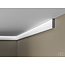 Homestar Fl50 (50 x 10 mm), lengte 2 m