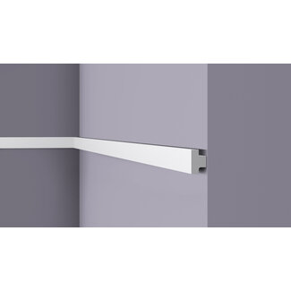 NMC Wallstyl T40 (30 x 20 mm), HDPS, lengte 2 m