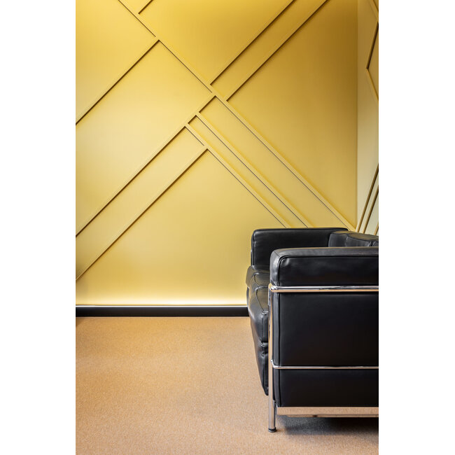 NMC Wallstyl T40 (30 x 20 mm), HDPS, lengte 2 m