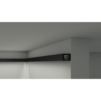 NMC Wallstyl IL12 BLACK (20 x 25 mm), HDPS, lengte 2 m