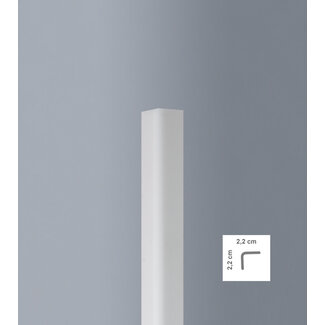 Lijst & Ornament Hoekprofiel Wit L22 (22 x 22 mm), lengte 2 m