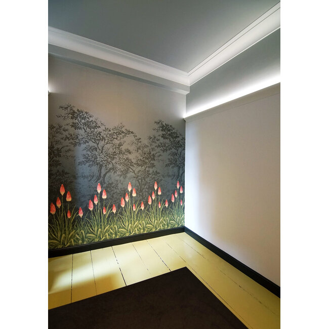 NMC  Wallstyl IL3 (50 x 32,5 mm), HDPS,  lengte 2 m