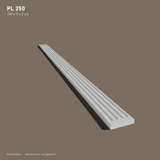 Grand Decor Pilaster PL250 schacht (11 x 200 cm)