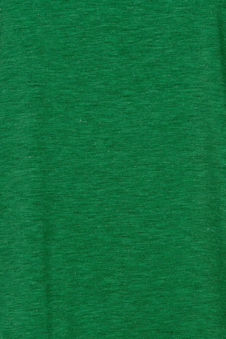 Ichi T-shirt Ihrebel Groen