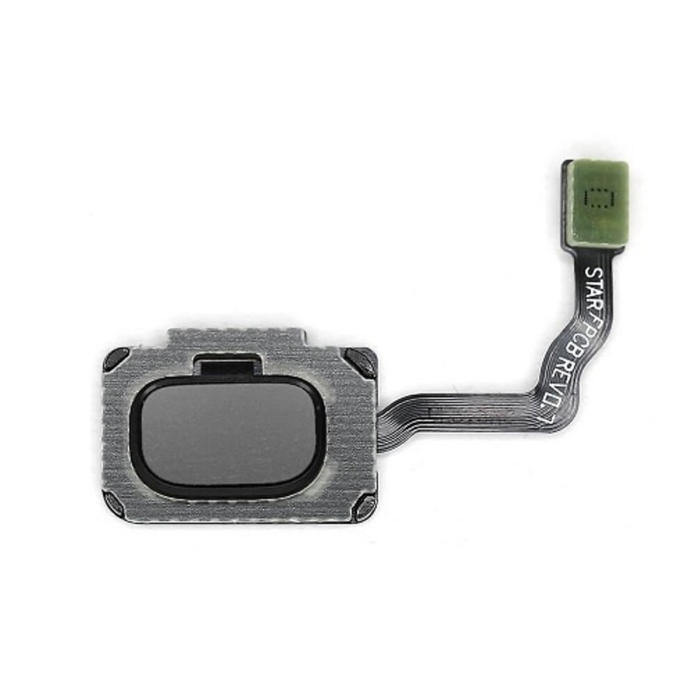 Samsung Samsung Galaxy S9 G960 | S9+ / S9 Plus G965 - Home Key / Fingerprint Sensor Flex - Titanium Gray - GH96-11479C | GH96-11938C Samsung Samsung Galaxy S9 G960 | S9+ / S9 Plus G965 - Home Key / Fingerprint Sensor Flex - Titanium Gray - GH96-11479C | GH96-11938C