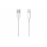 Apple Originele Lightning Oplaadkabel voor iPhone & iPad (1M) Apple Originele Lightning Oplaadkabel voor iPhone & iPad (1M)