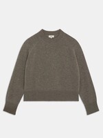 Suncoo PAULVAR - Chataigne