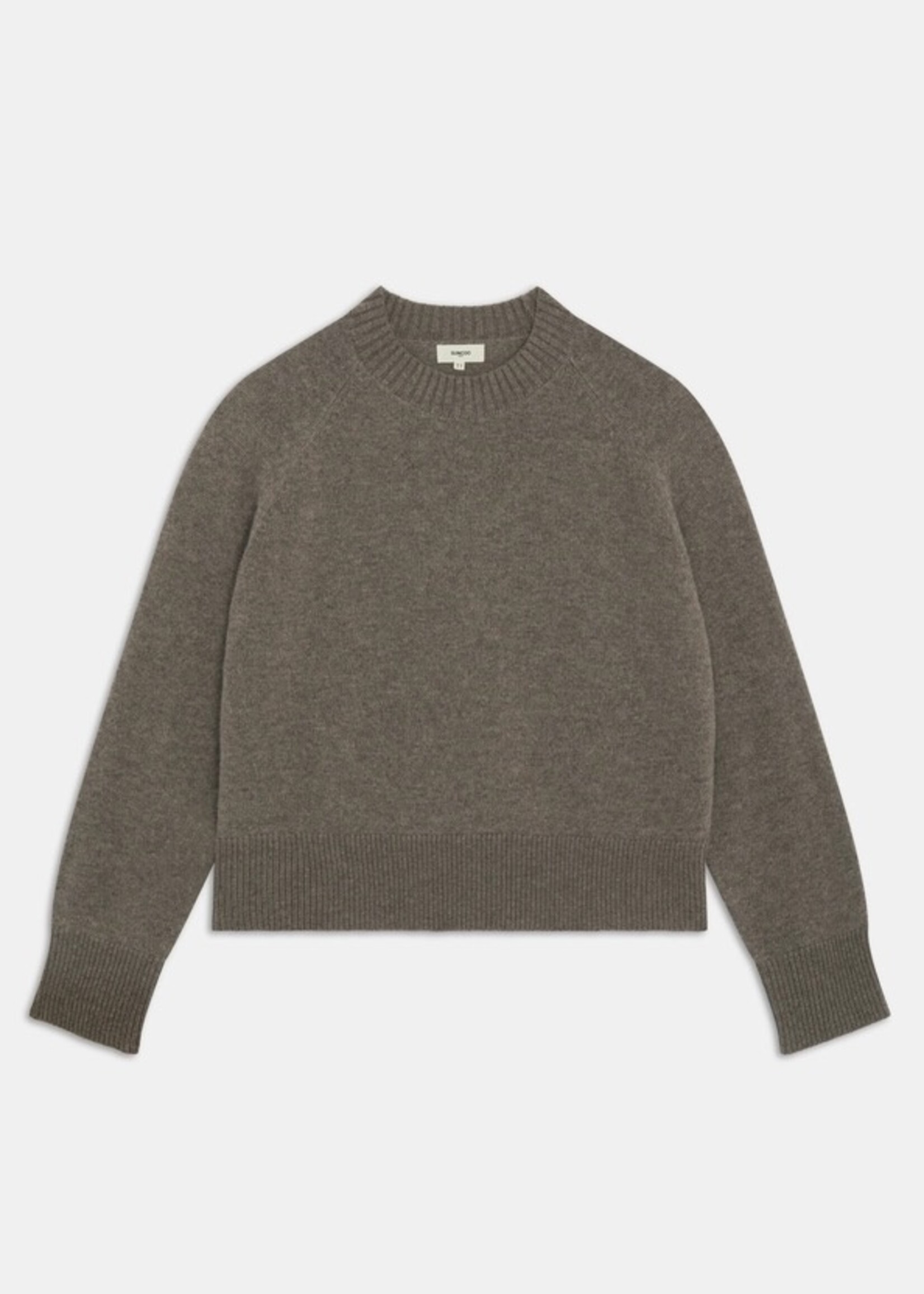 Suncoo PAULVAR - Chataigne