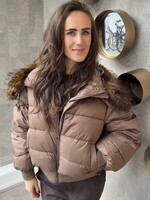 Access 549141 - Jacket