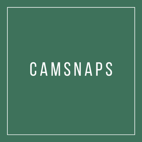 CAMSNAPS