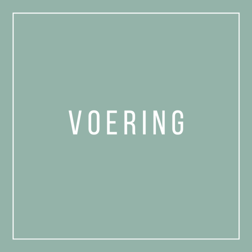 VOERING