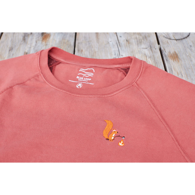 Blue Fleece Squirrel Sweater - Brown