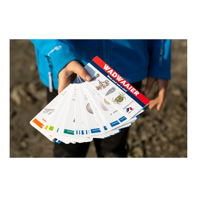 Wadwaaier, weiss schnell was du siehst! (Duits)