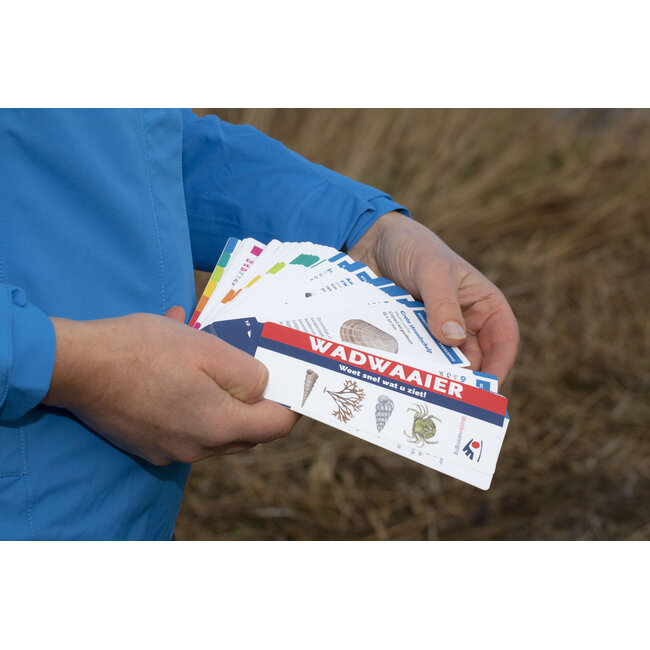 Wadwaaier, weiss schnell was du siehst! (Duits)