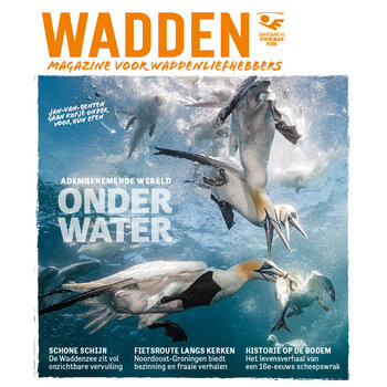 In het magazine WADDEN