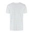 SaXcell Stripe Tshirt - White / Blue Melange