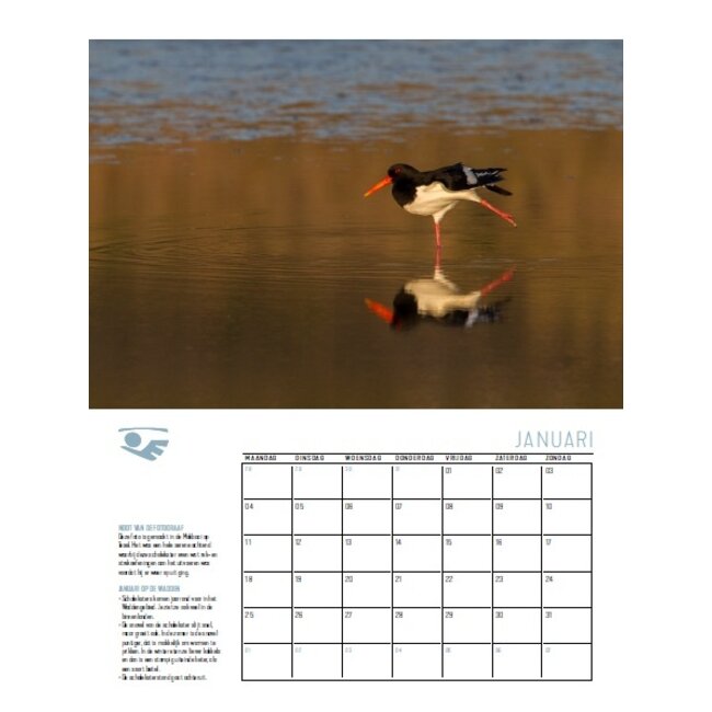 WADDEN kalender 2027
