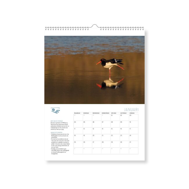 WADDEN kalender 2027