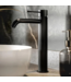 Wastafelkraan Gunmetal 1-gats Moleti TF123907Q