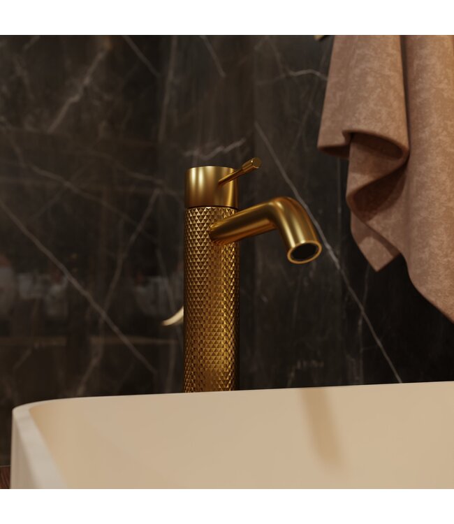 Wastafelkraan 1-gats Moleti TF123908Q