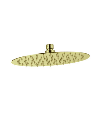 Steinbach Regendouchekop 25cm PVD STV2525BV