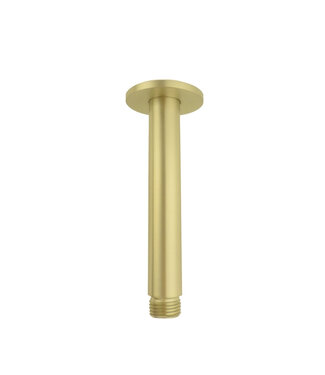 Steinbach Plafondstang  douchekop Gido STV03BV