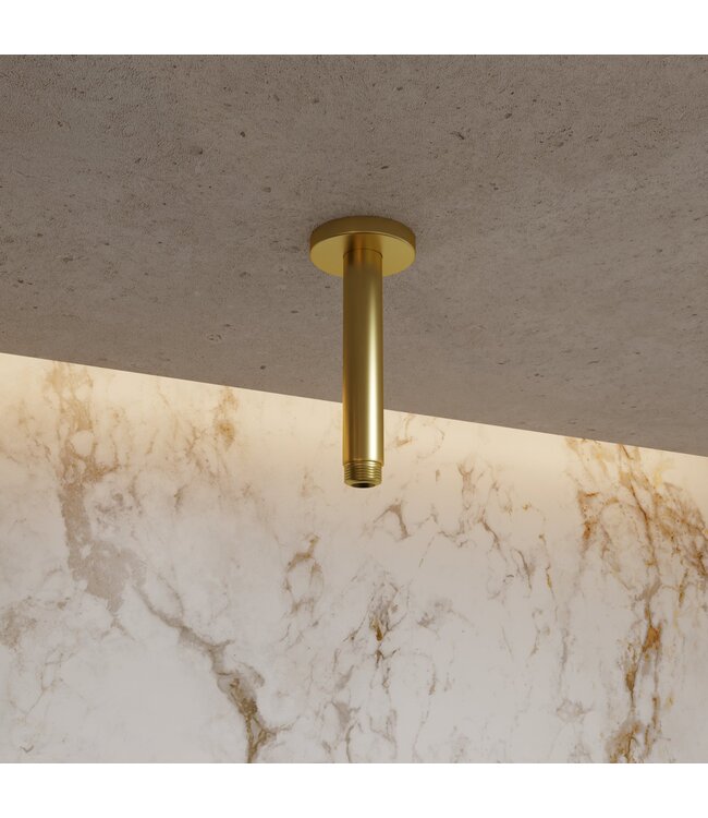 Plafondstang PVD t.b.v. douchekop Gido STV03BB