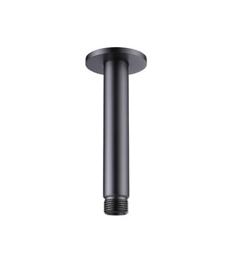 Steinbach Plafondstang  douchekop Gido STV03MG