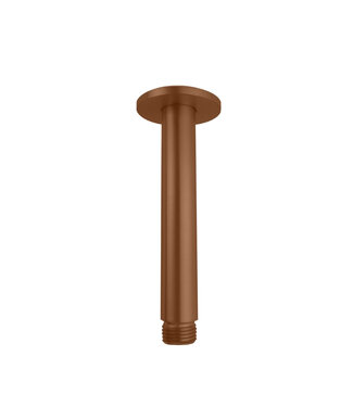 Steinbach Plafondstang  douchekop Gido STV000CA