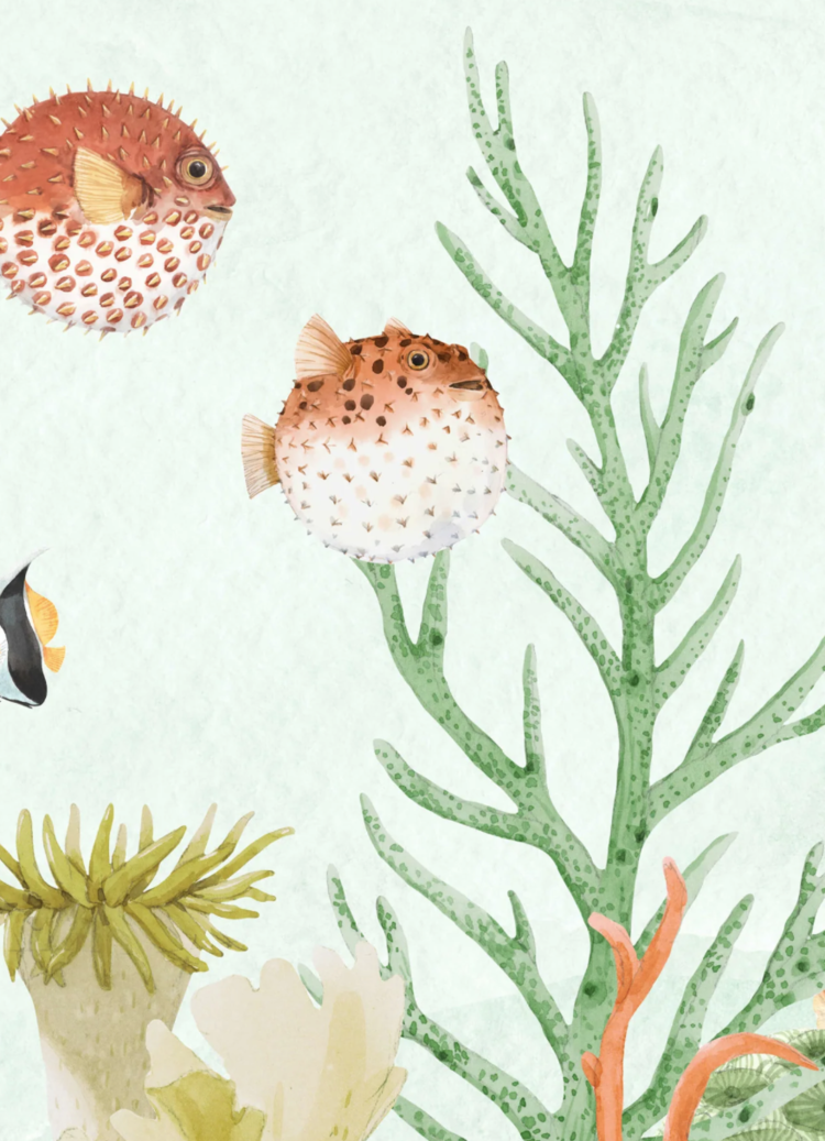 Creative Lab Amsterdam Behangpapier - Sealife Coral
