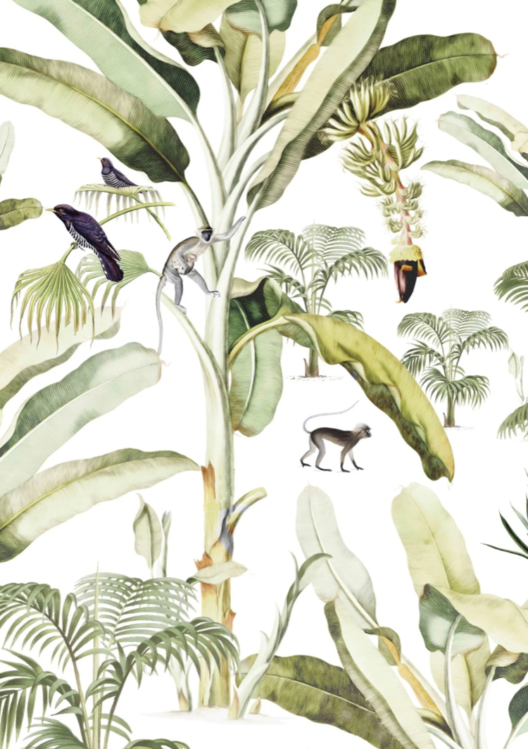 Creative Lab Amsterdam Wallpaper - Baby Bananas