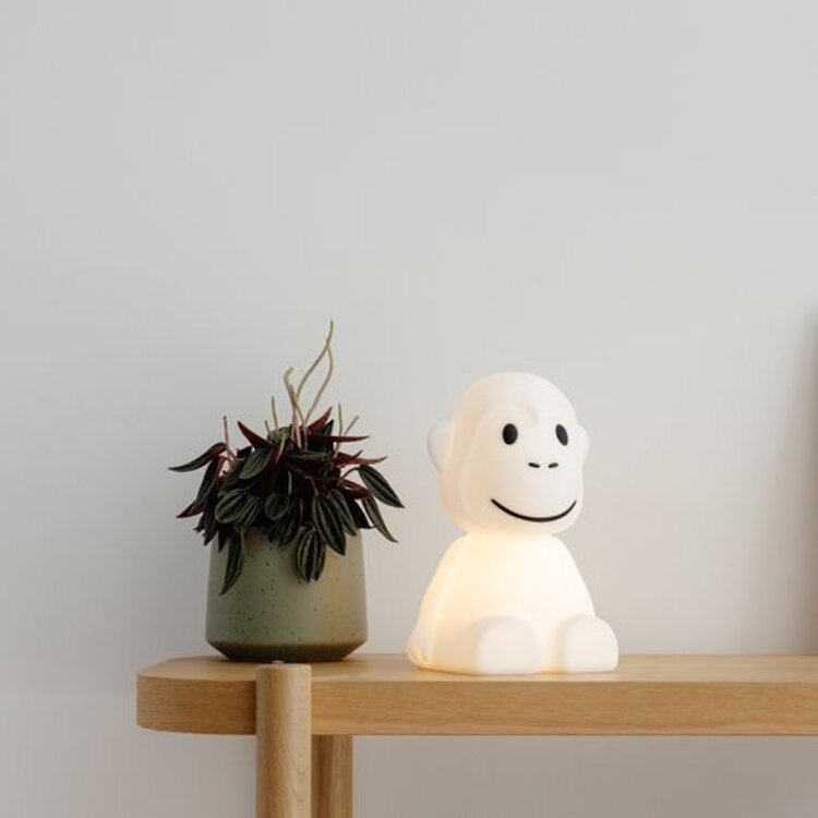 Mr Maria Aapje - Eerste Nachtlampje