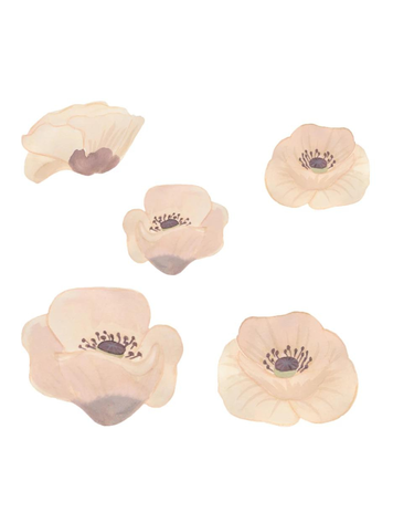 Wall Sticker - Poppy Flower