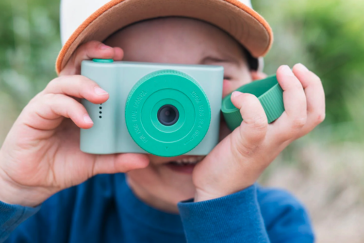 The Zoo Family Urban Zoo - Dino Green