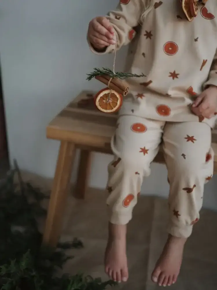 Organic Zoo Winter Spice Pyjamas