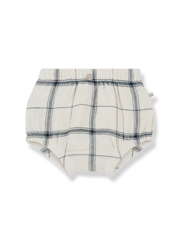 1+ in the family Amadeo Bloomer - Petroleum