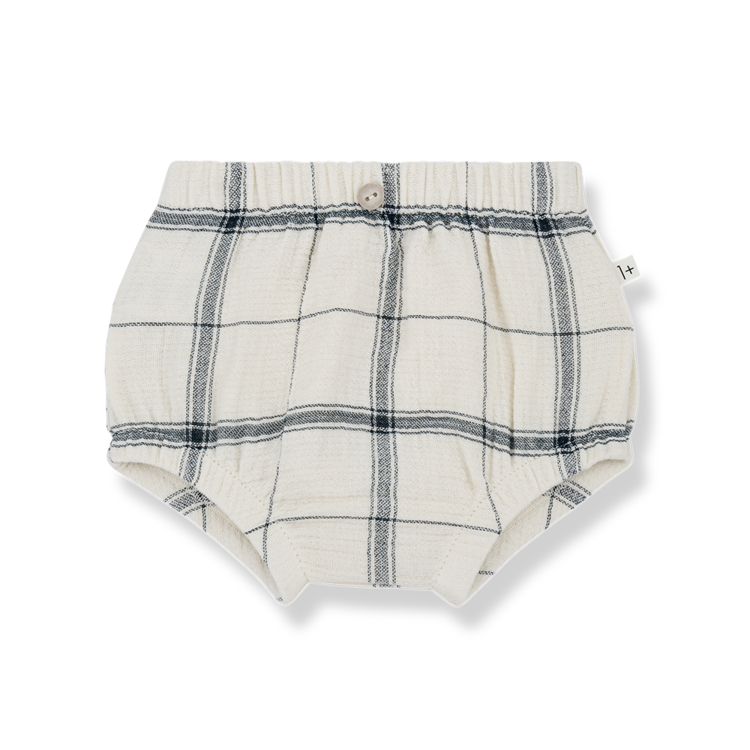 1+ in the family Amadeo Bloomer - Petroleum