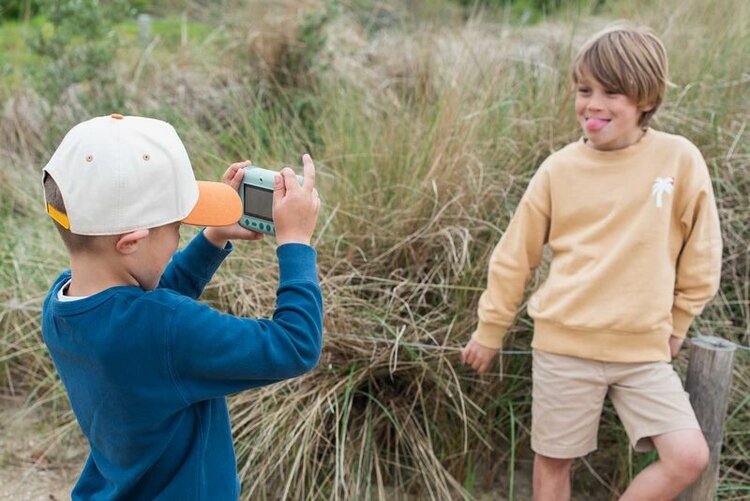 The Zoo Family Zoo Print - Dino Green