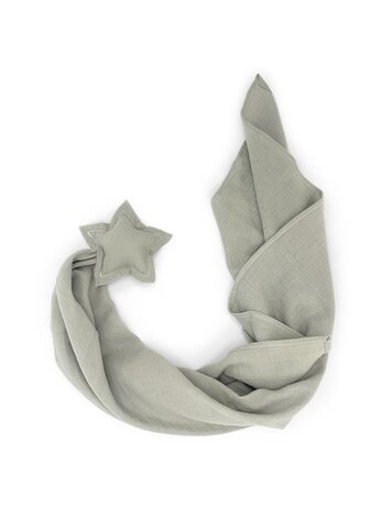 Babyshower Ster Doudou - Sage Powder