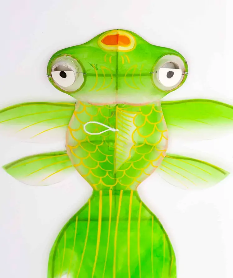 Petit Pan Kite Fish - Vert
