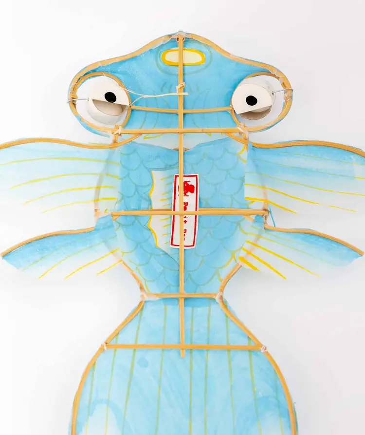 Petit Pan Kite Fish - Bleu