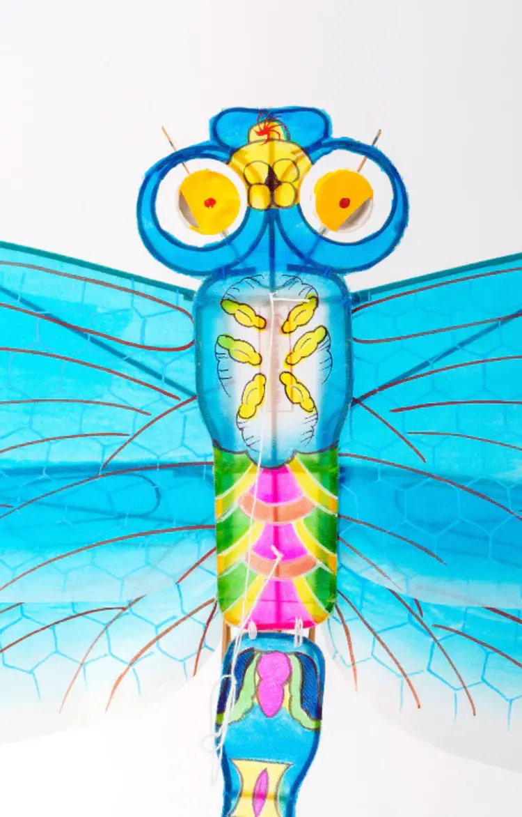 Petit Pan Kite Libelle - Bleu