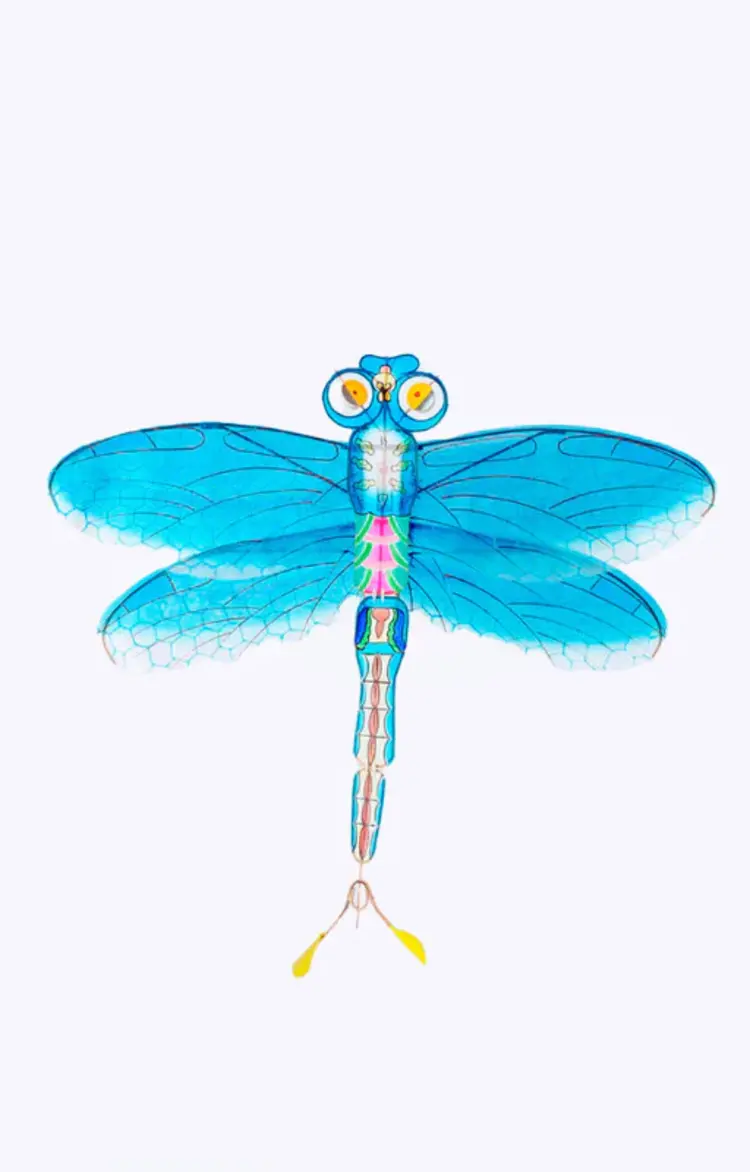 Petit Pan Vlieger Libelle - Bleu