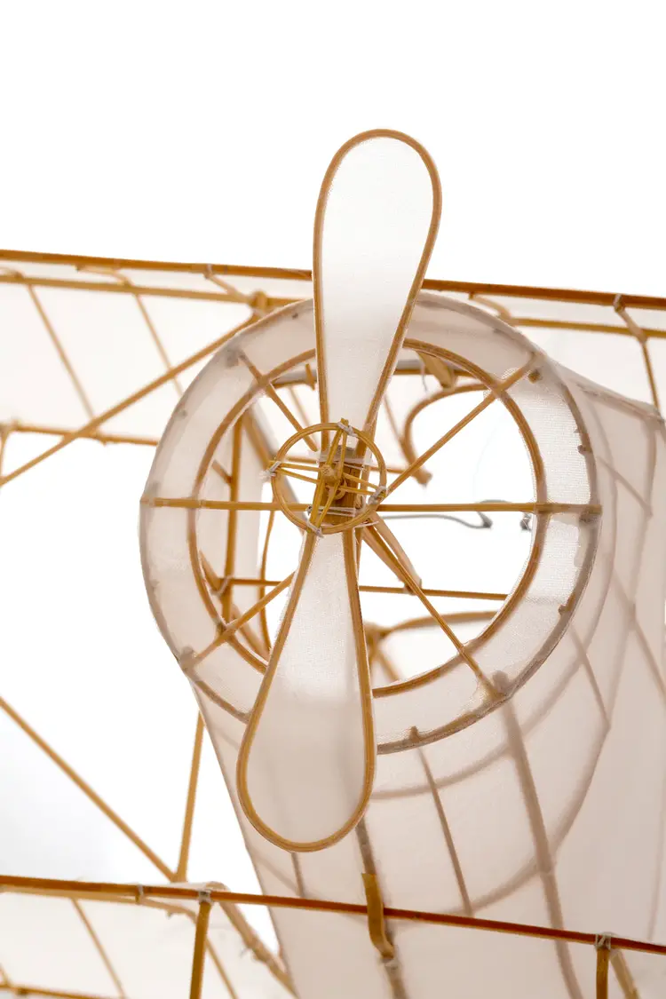 Petit Pan Pendant Light - Airplane