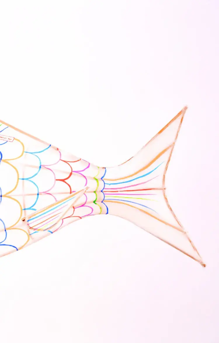 Petit Pan Pendant Lamp Carp - Multicolor S