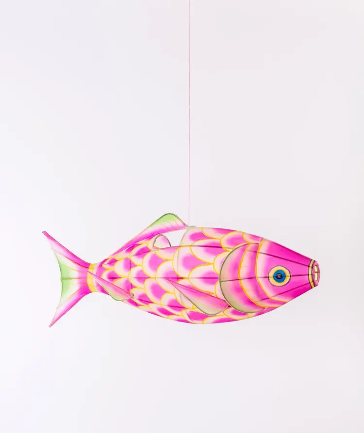 Petit Pan Pendant Lamp Carp - Roze