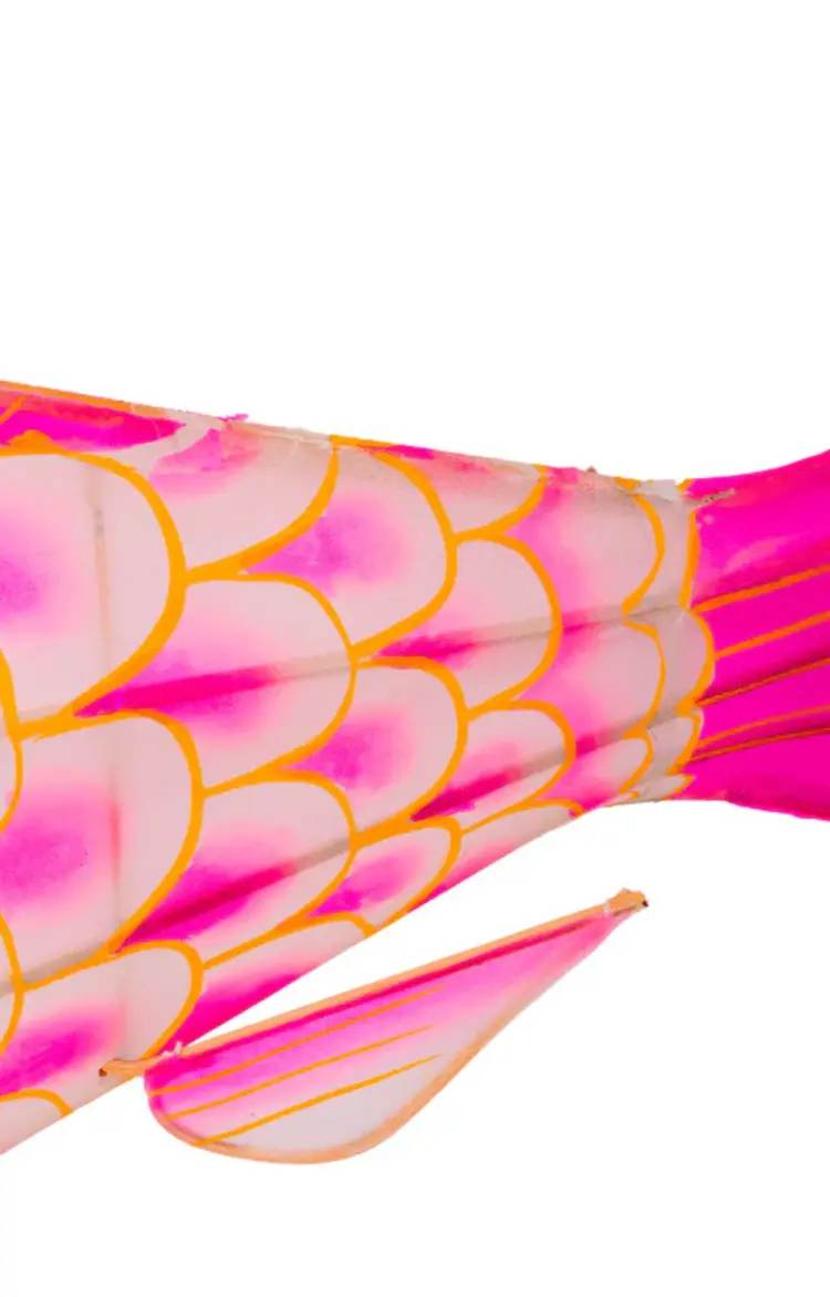 Petit Pan Lampion Karper - Roze