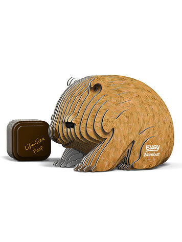 3D Kit Cardboard  - Wombat