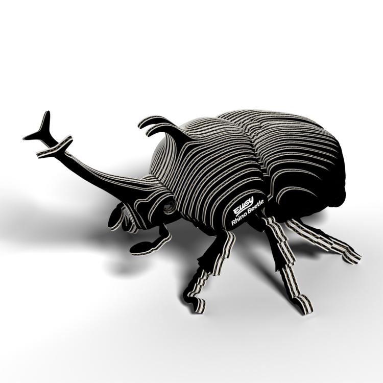 3D Kit Cardboard - Rhinoceros Beetle